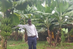 1_Teacher_Inspecting_Banana_School_Farm