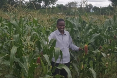 1_Teacher_Inspecting_Maize_School_Farm